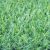 Plush Synthetic Grass (premium grass) – 2m(W) x 10m(L)