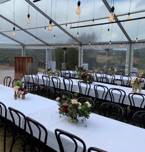 Pendant Lighting Marquee