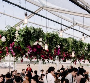 10m clear roof and lighting