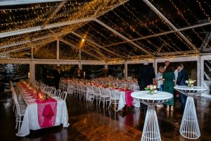 10m Clear Roof and Fairy Lights